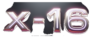 x 16 logo
